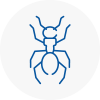 Ant Removals In Ripley