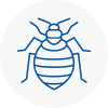 Bed Bug Extermination In Ripley