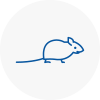 Mice Exterminators In Ripley