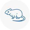Rat Control Ripley