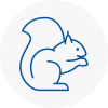 Ripley Rodent Removals